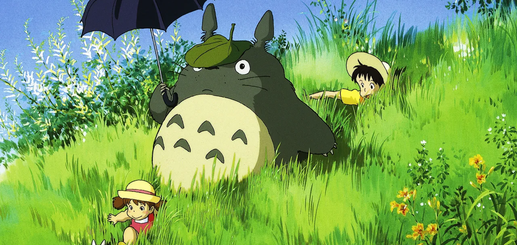 totoro in grass field